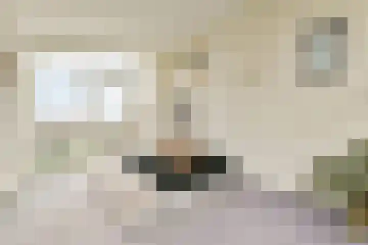 Anne Frankstraat 20 Lisse thumbnail 30