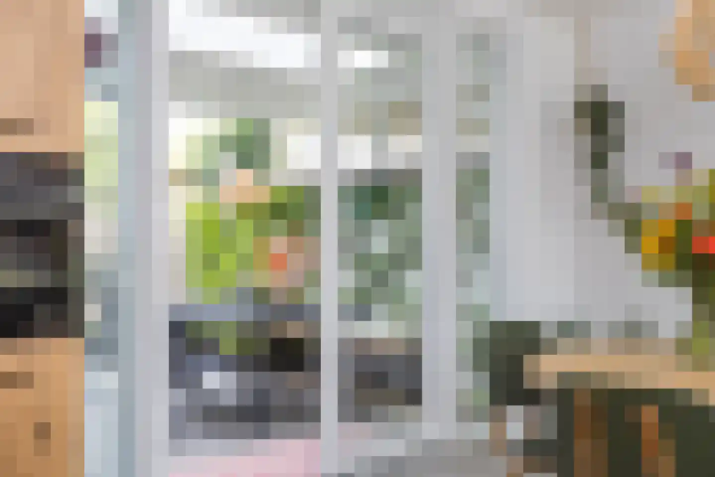 Anne Frankstraat 21 Ootmarsum thumbnail 12