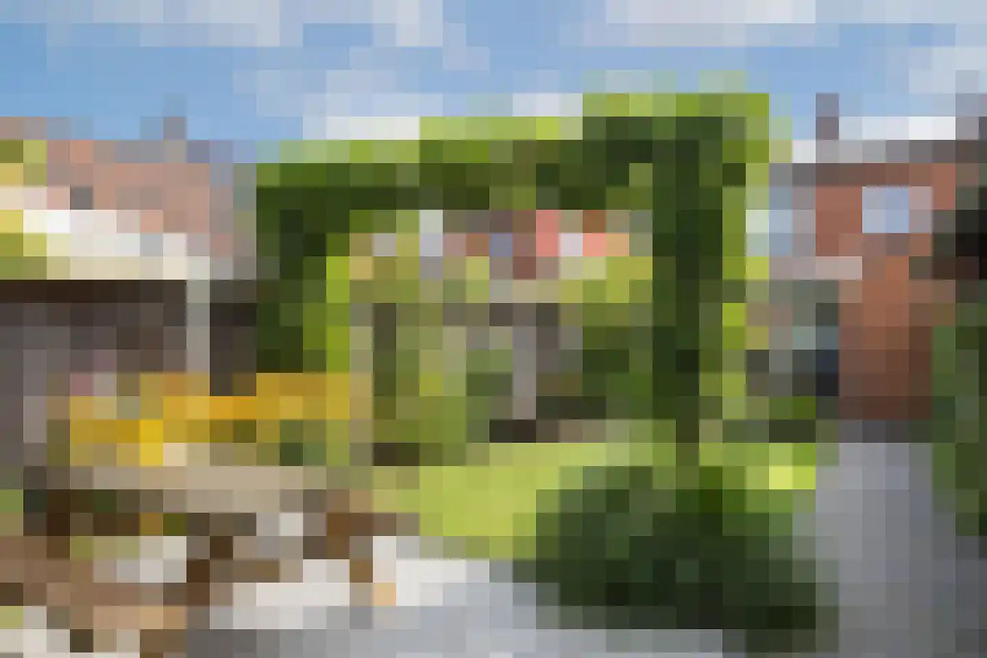 Anne Frankstraat 21 Ootmarsum thumbnail 28