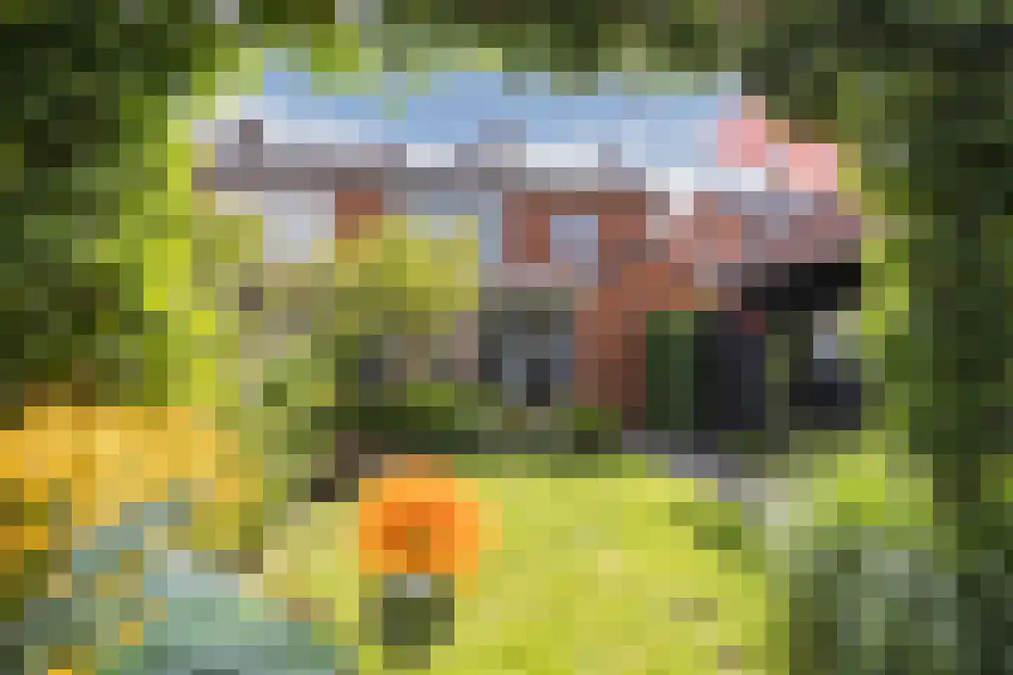 Anne Frankstraat 21 Ootmarsum thumbnail 29