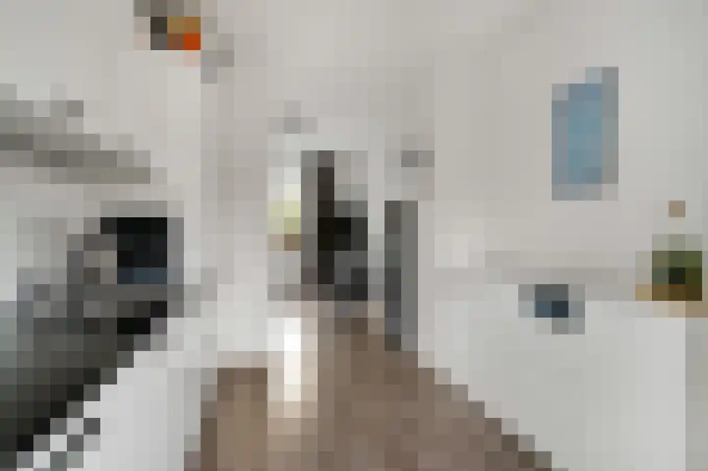 Anne Frankstraat 232 Venlo thumbnail 6