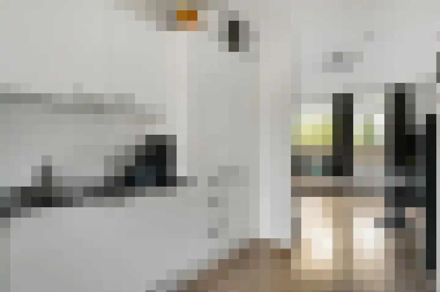 Anne Frankstraat 232 Venlo thumbnail 8