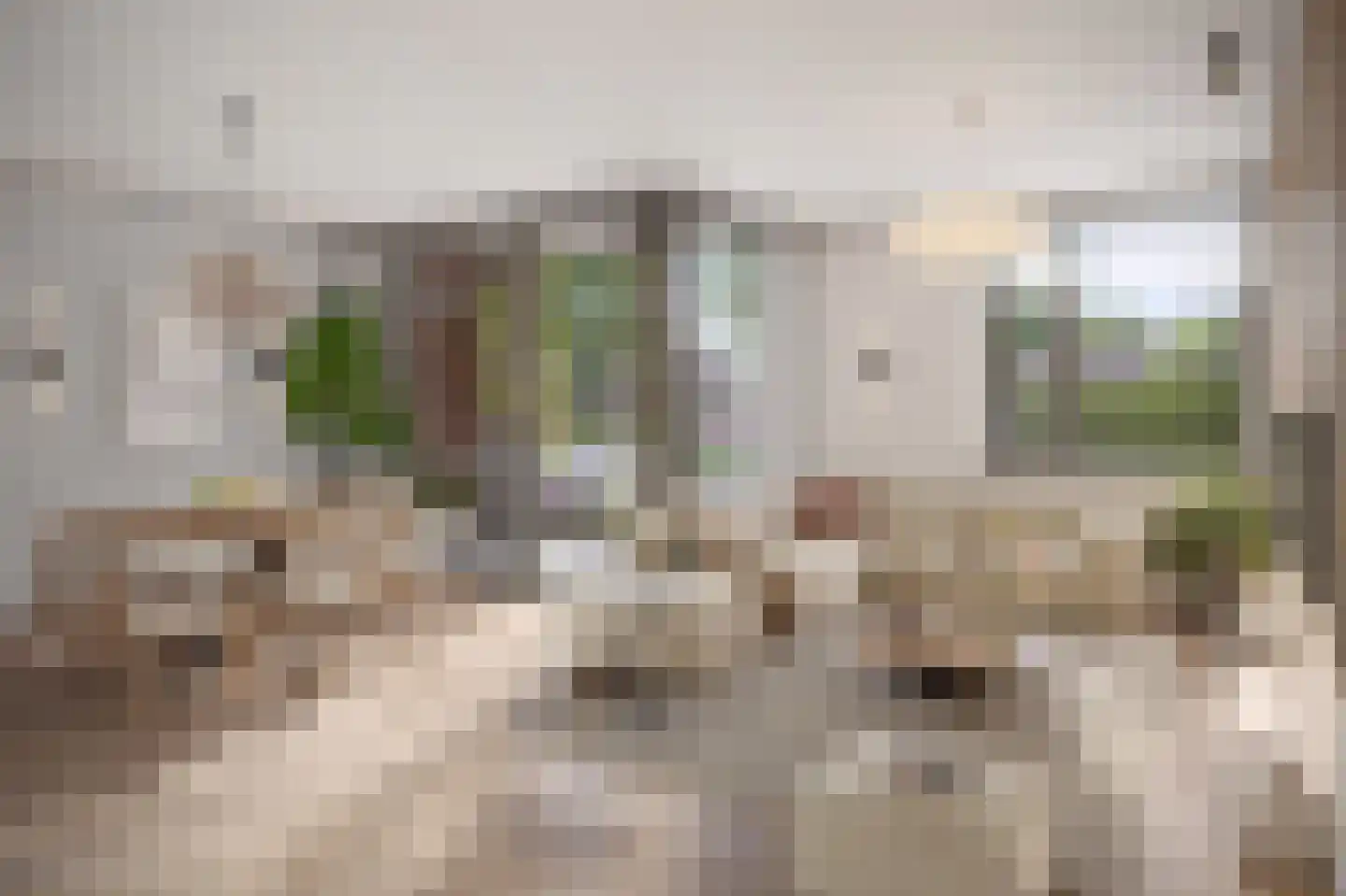 Anne Frankstraat 5 Cuijk thumbnail 5