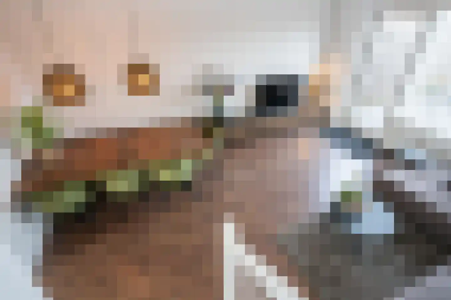 Anne Frankstraat 9 Den Burg thumbnail 14