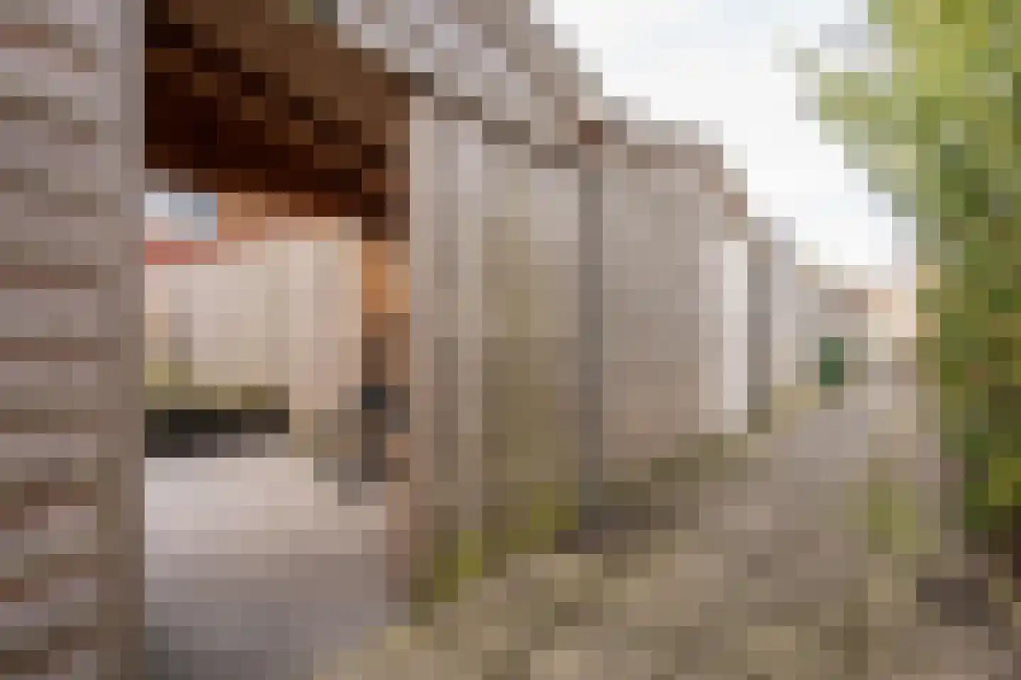 Anne Frankstraat 9 Den Burg thumbnail 35