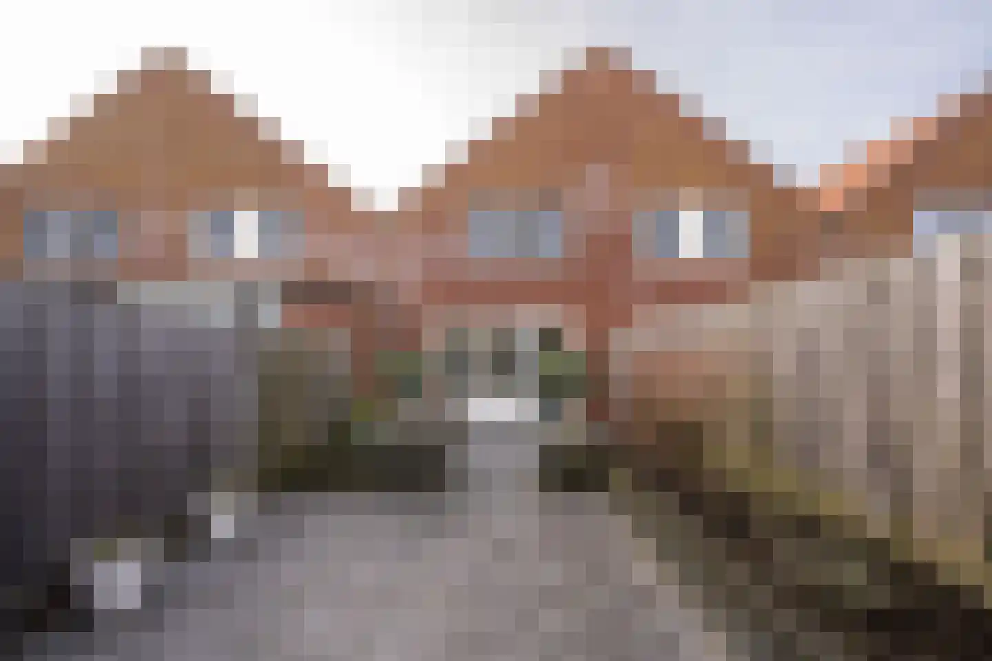 Anne Frankstraat 9 Den Burg thumbnail 39
