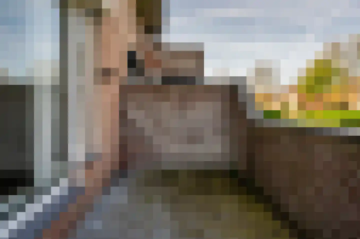 Anne Frankstraat 90 Venlo thumbnail 11