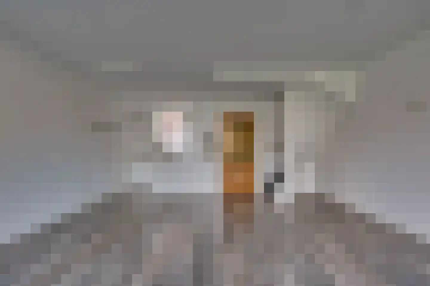 Anne Frankstraat 90 Venlo thumbnail 13