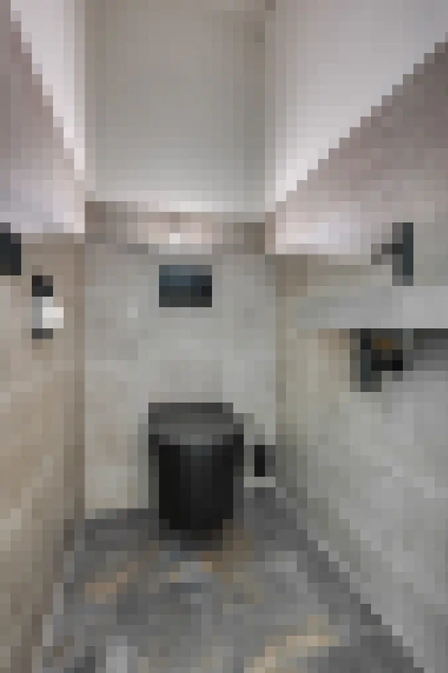 Anne Frankstraat 90 Venlo thumbnail 6