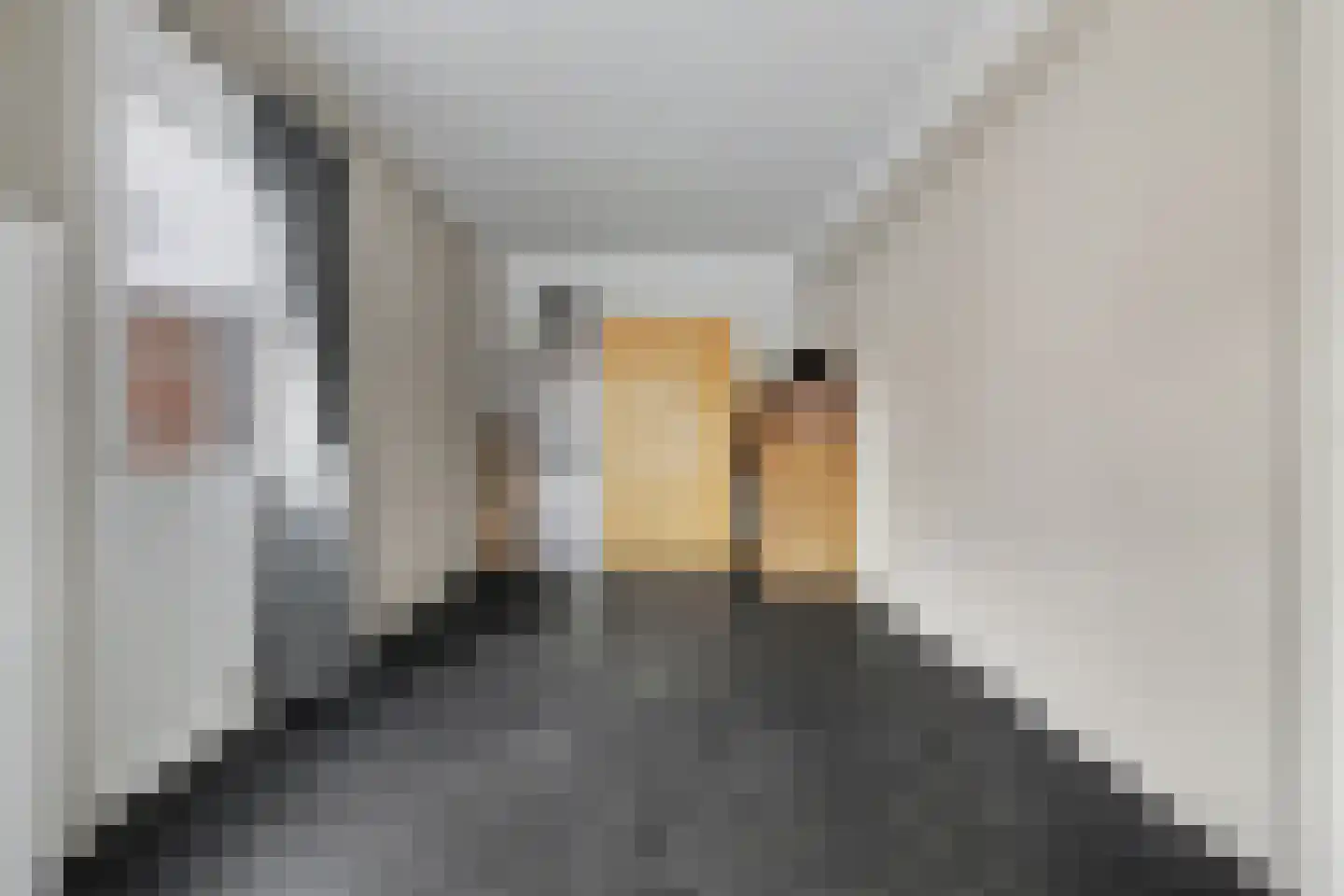 Anne Frankstraat 91 Spijkenisse thumbnail 16