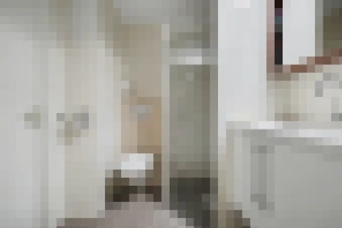 Anne Frankstraat 91 Spijkenisse thumbnail 19