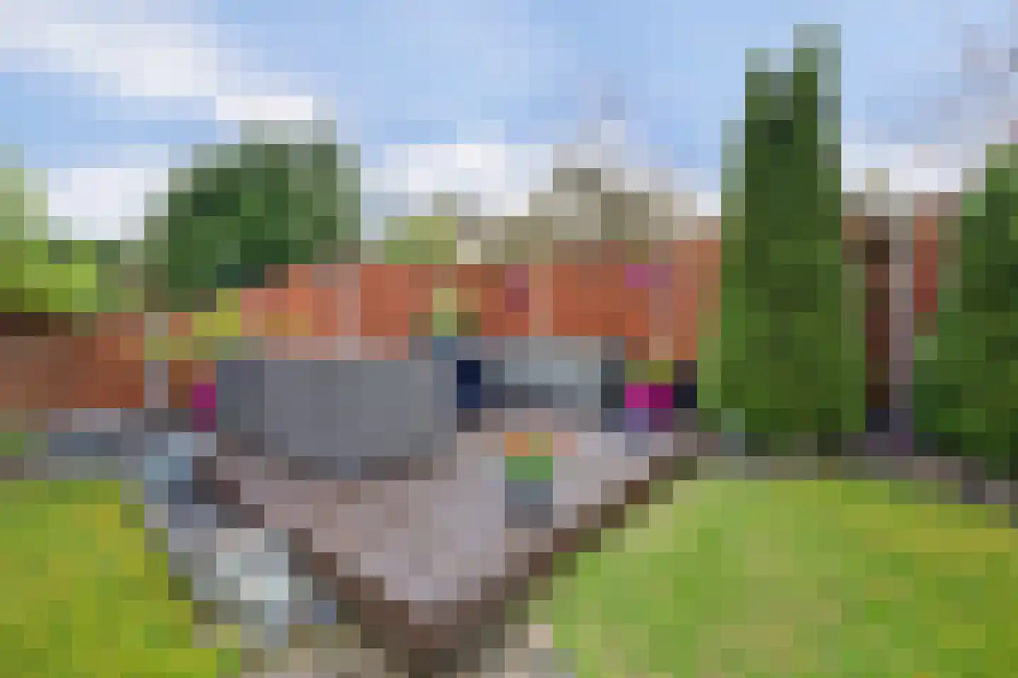 Anne Frankstraat 91 Spijkenisse thumbnail 31