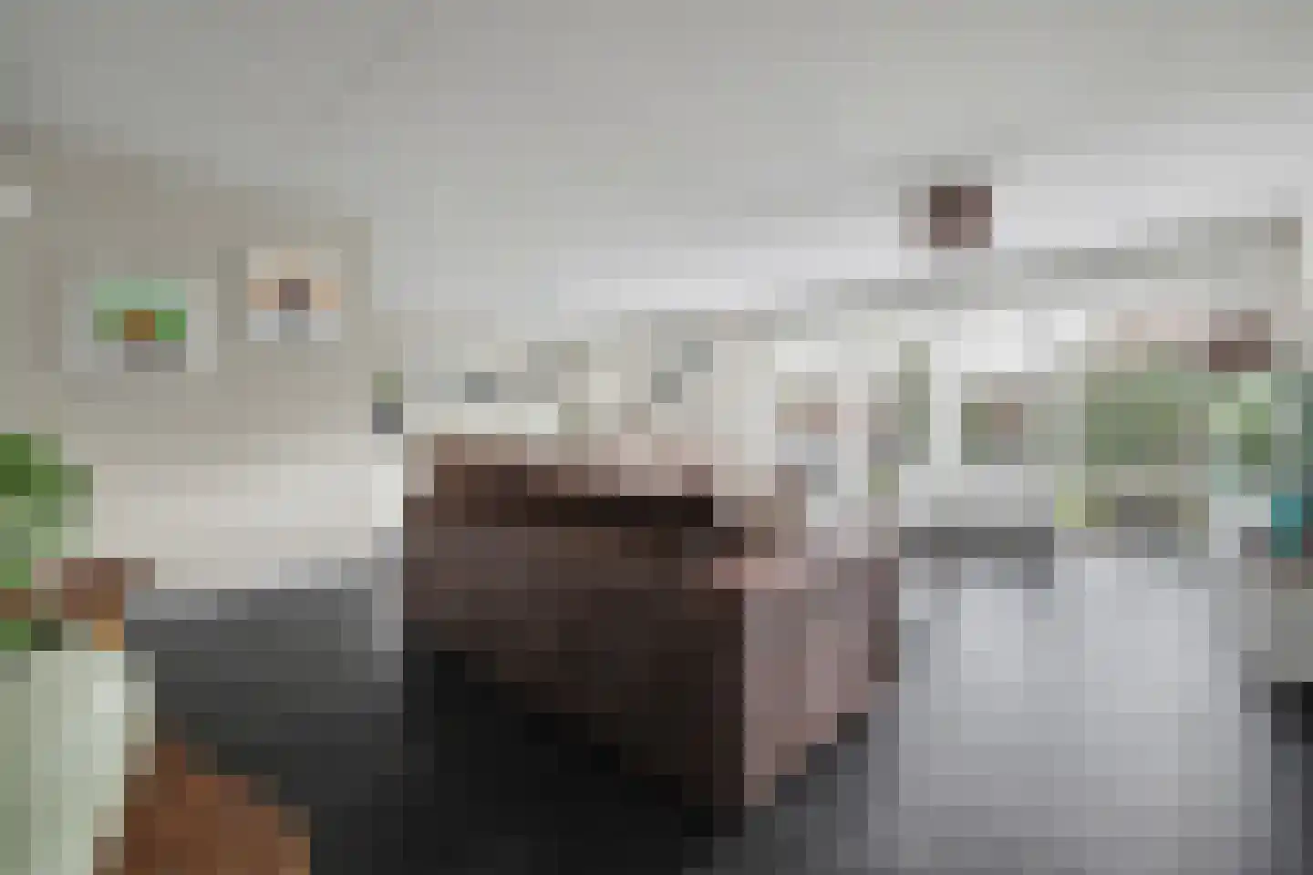 Anne Frankstraat 91 Spijkenisse thumbnail 4