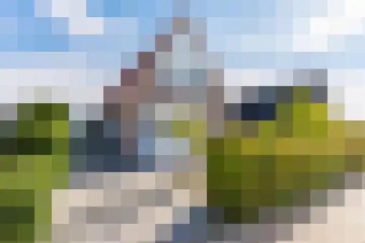 Anne Hanzeswyk 6 De Knipe thumbnail 11