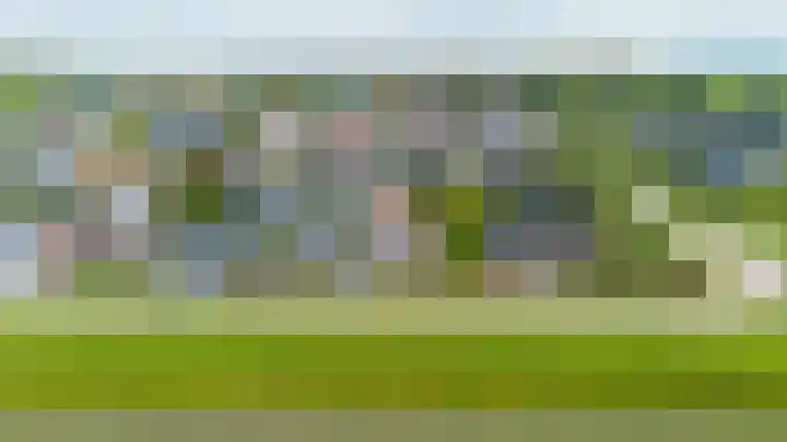 Anne Hanzeswyk 6 De Knipe thumbnail 14