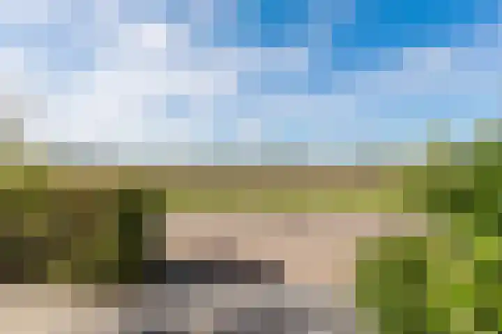 Anne Hanzeswyk 6 De Knipe thumbnail 15