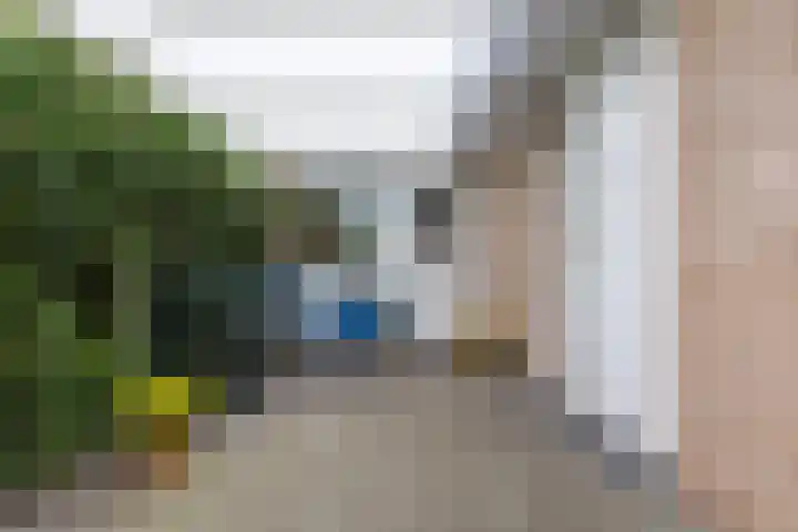 Anne Hanzeswyk 6 De Knipe thumbnail 17