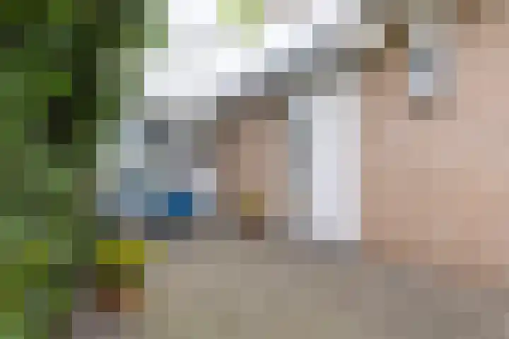 Anne Hanzeswyk 6 De Knipe thumbnail 18