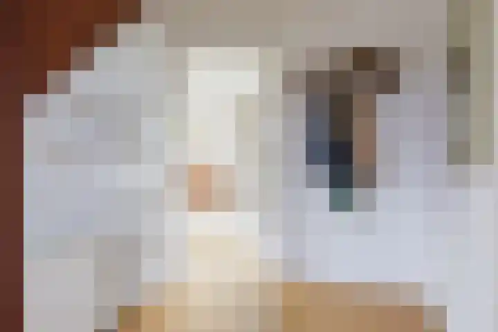 Anne Hanzeswyk 6 De Knipe thumbnail 19