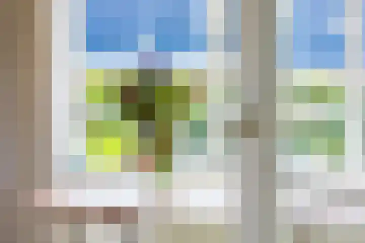 Anne Hanzeswyk 6 De Knipe thumbnail 21