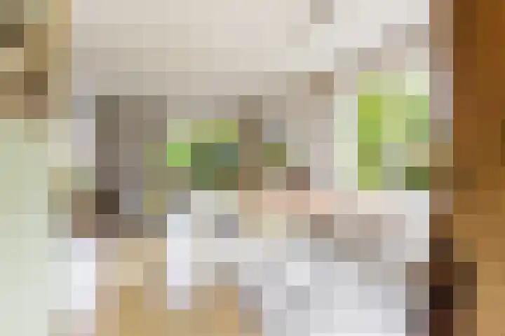 Anne Hanzeswyk 6 De Knipe thumbnail 22