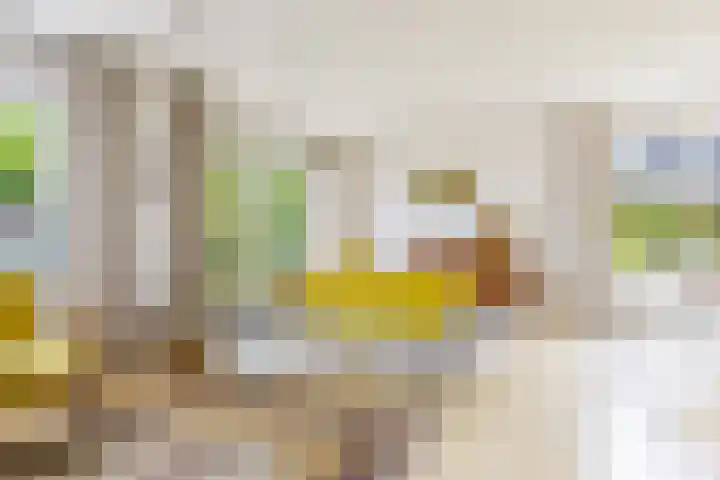 Anne Hanzeswyk 6 De Knipe thumbnail 27