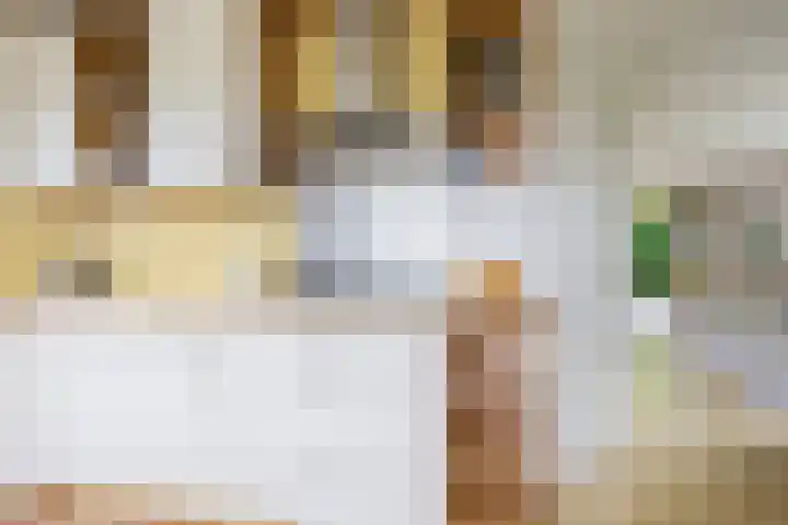 Anne Hanzeswyk 6 De Knipe thumbnail 35