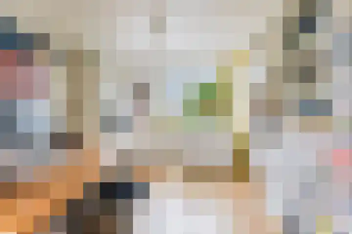 Anne Hanzeswyk 6 De Knipe thumbnail 38