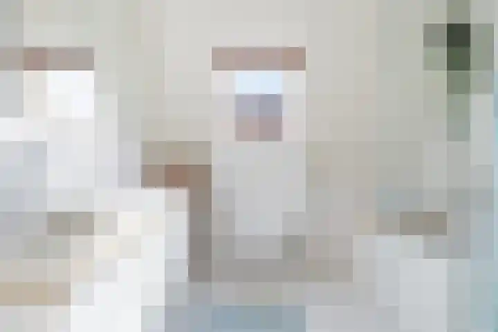 Anne Hanzeswyk 6 De Knipe thumbnail 4