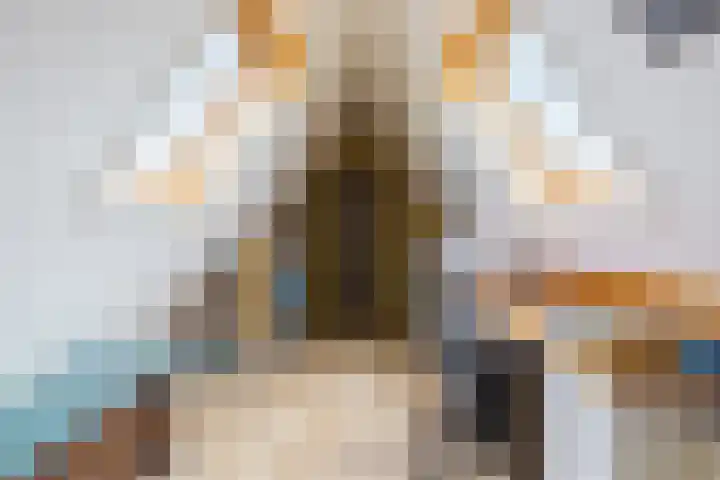 Anne Hanzeswyk 6 De Knipe thumbnail 47