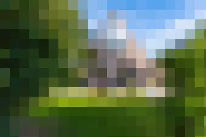 Anne Hanzeswyk 6 De Knipe thumbnail 5