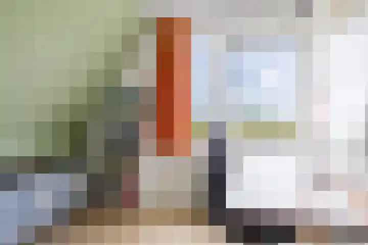 Anne Hanzeswyk 6 De Knipe thumbnail 54
