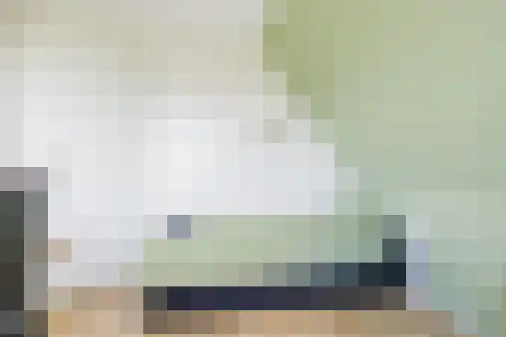 Anne Hanzeswyk 6 De Knipe thumbnail 55