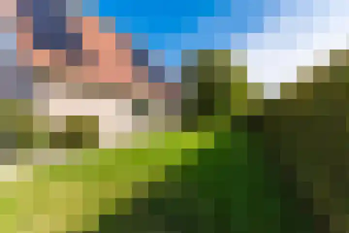 Anne Hanzeswyk 6 De Knipe thumbnail 57