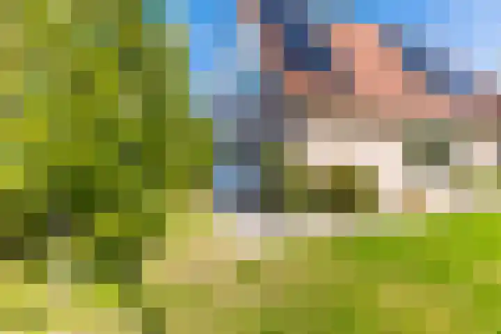 Anne Hanzeswyk 6 De Knipe thumbnail 58