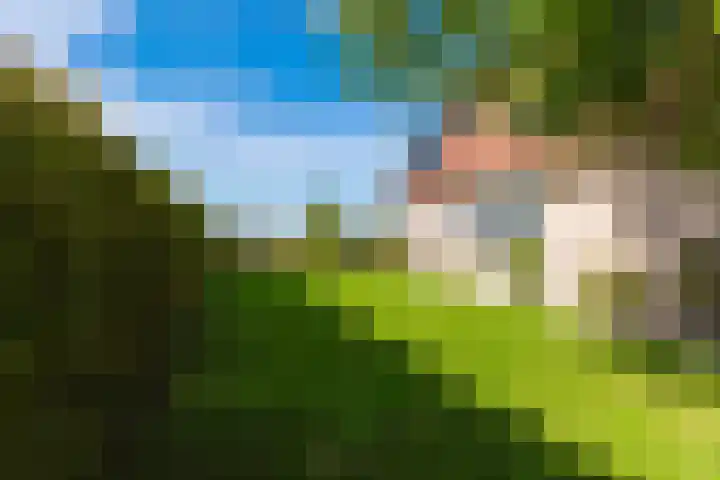 Anne Hanzeswyk 6 De Knipe thumbnail 59