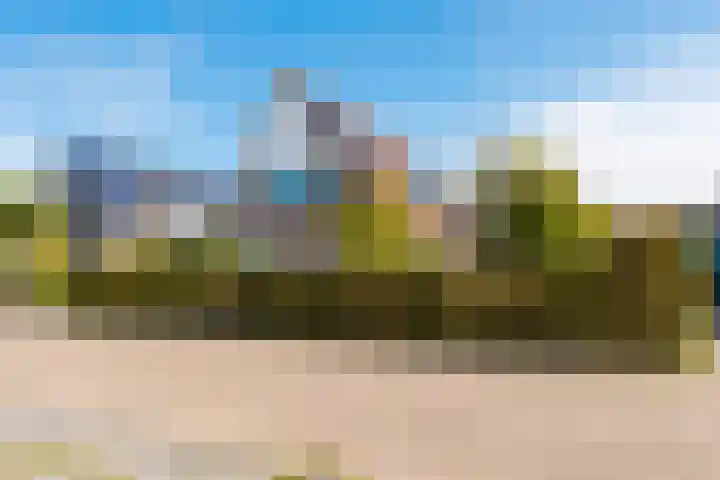 Anne Hanzeswyk 6 De Knipe thumbnail 6