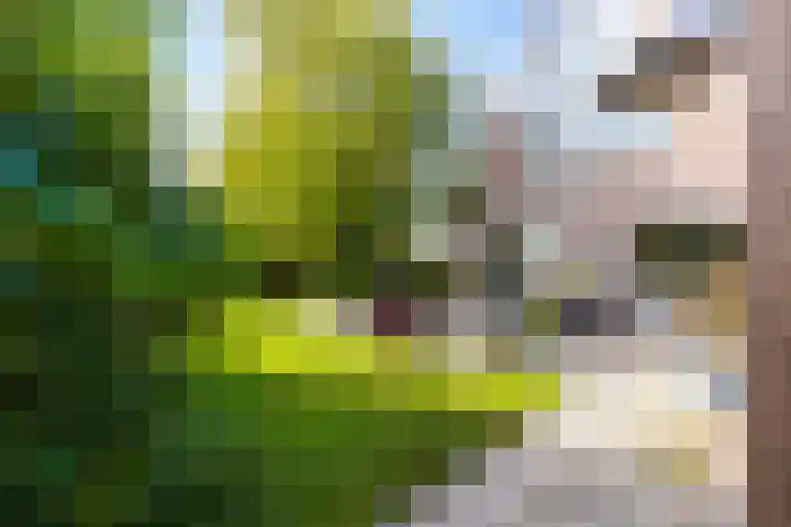 Anne Hanzeswyk 6 De Knipe thumbnail 60