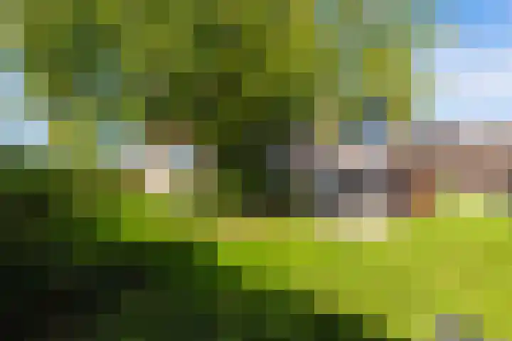 Anne Hanzeswyk 6 De Knipe thumbnail 61