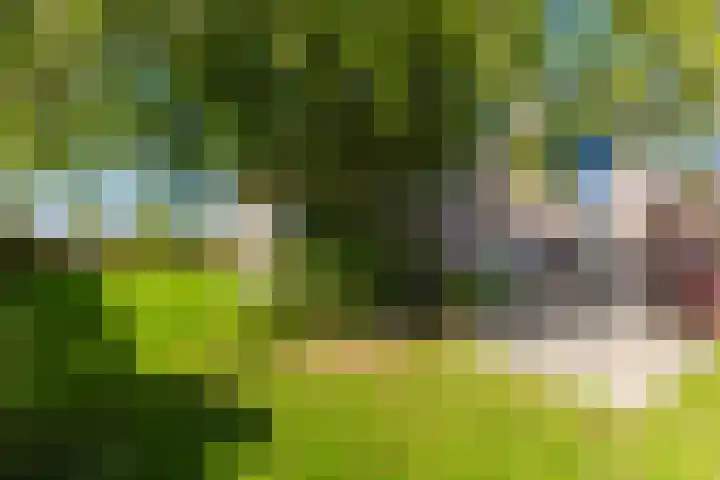 Anne Hanzeswyk 6 De Knipe thumbnail 62