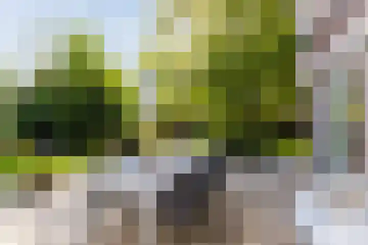 Anne Hanzeswyk 6 De Knipe thumbnail 63