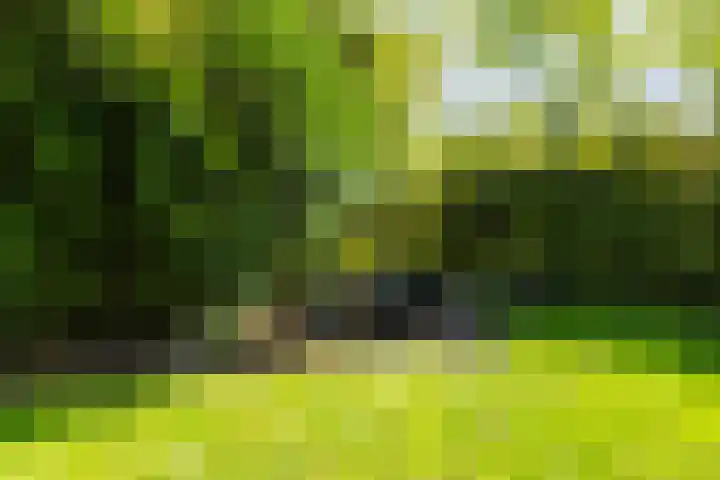 Anne Hanzeswyk 6 De Knipe thumbnail 64