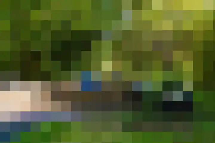 Anne Hanzeswyk 6 De Knipe thumbnail 65