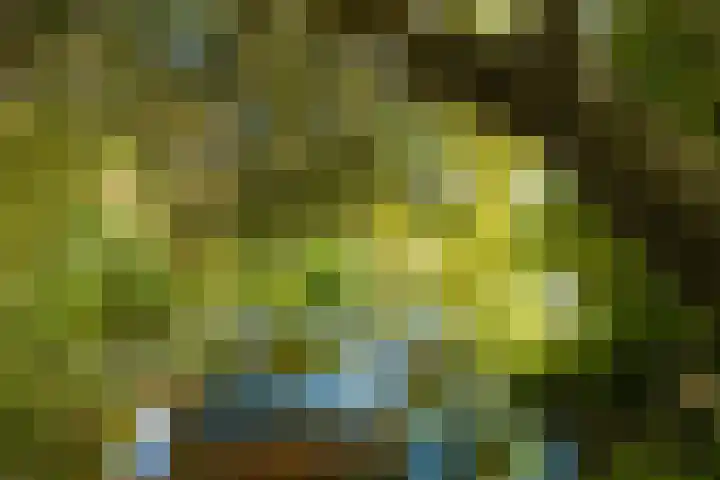 Anne Hanzeswyk 6 De Knipe thumbnail 66