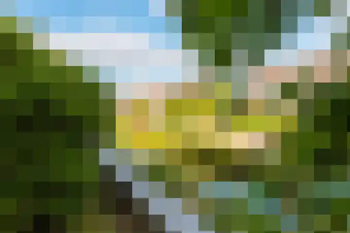 Anne Hanzeswyk 6 De Knipe thumbnail 67