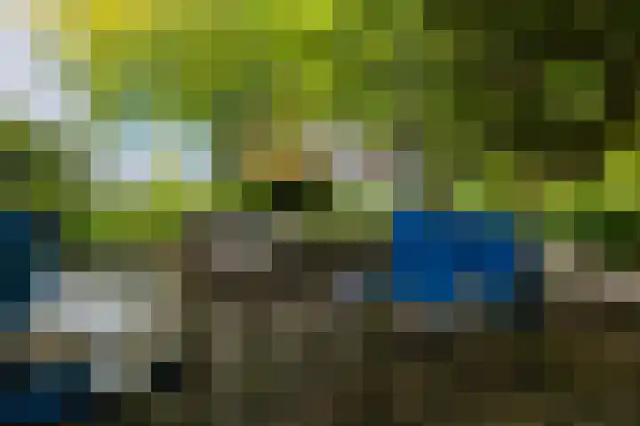Anne Hanzeswyk 6 De Knipe thumbnail 68