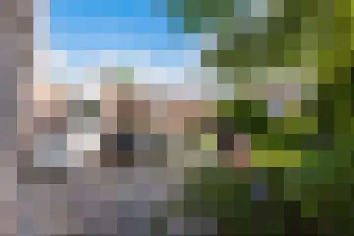 Anne Hanzeswyk 6 De Knipe thumbnail 69