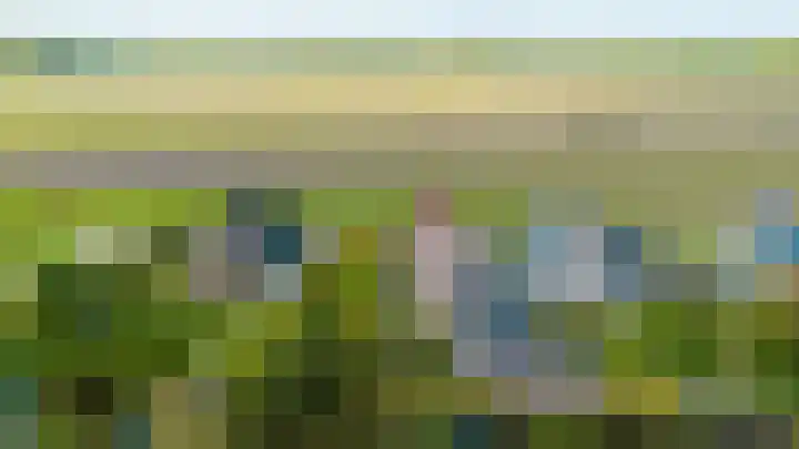 Anne Hanzeswyk 6 De Knipe thumbnail 70