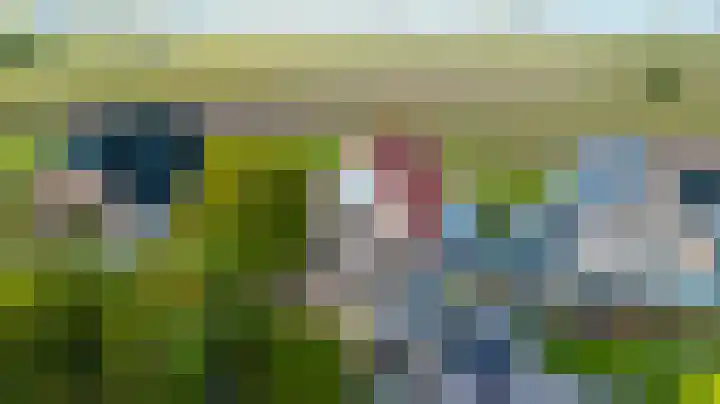 Anne Hanzeswyk 6 De Knipe thumbnail 71