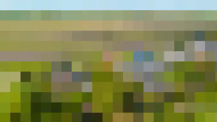 Anne Hanzeswyk 6 De Knipe thumbnail 72
